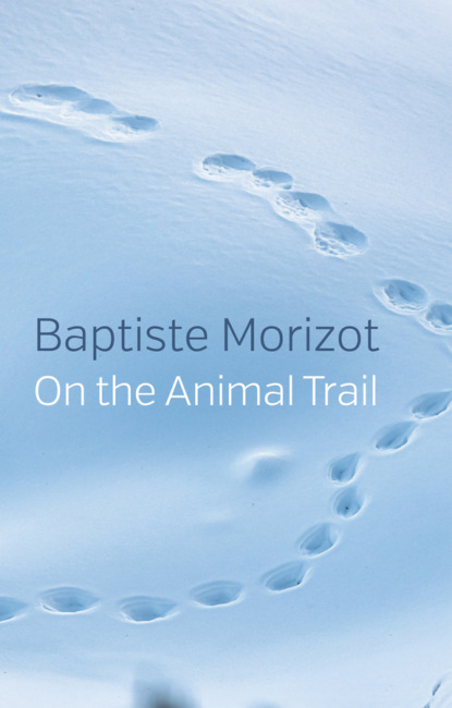 Morizot Baptiste: On the Animal Trail