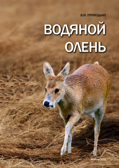 И. В. Приходько: Водяной олень (Hydropotes inermis)