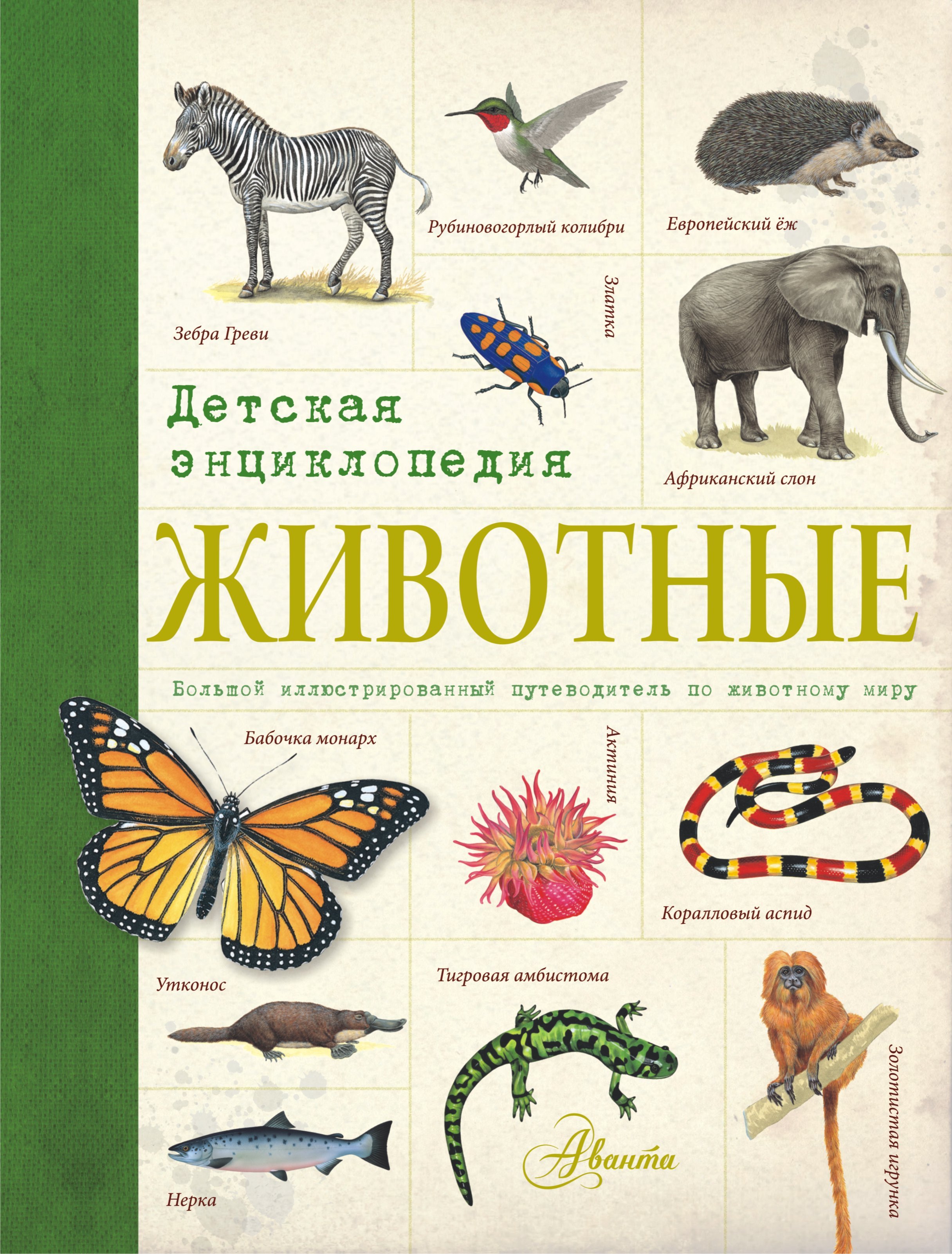 П.М. Волцит: Животные. Детская энциклопедия