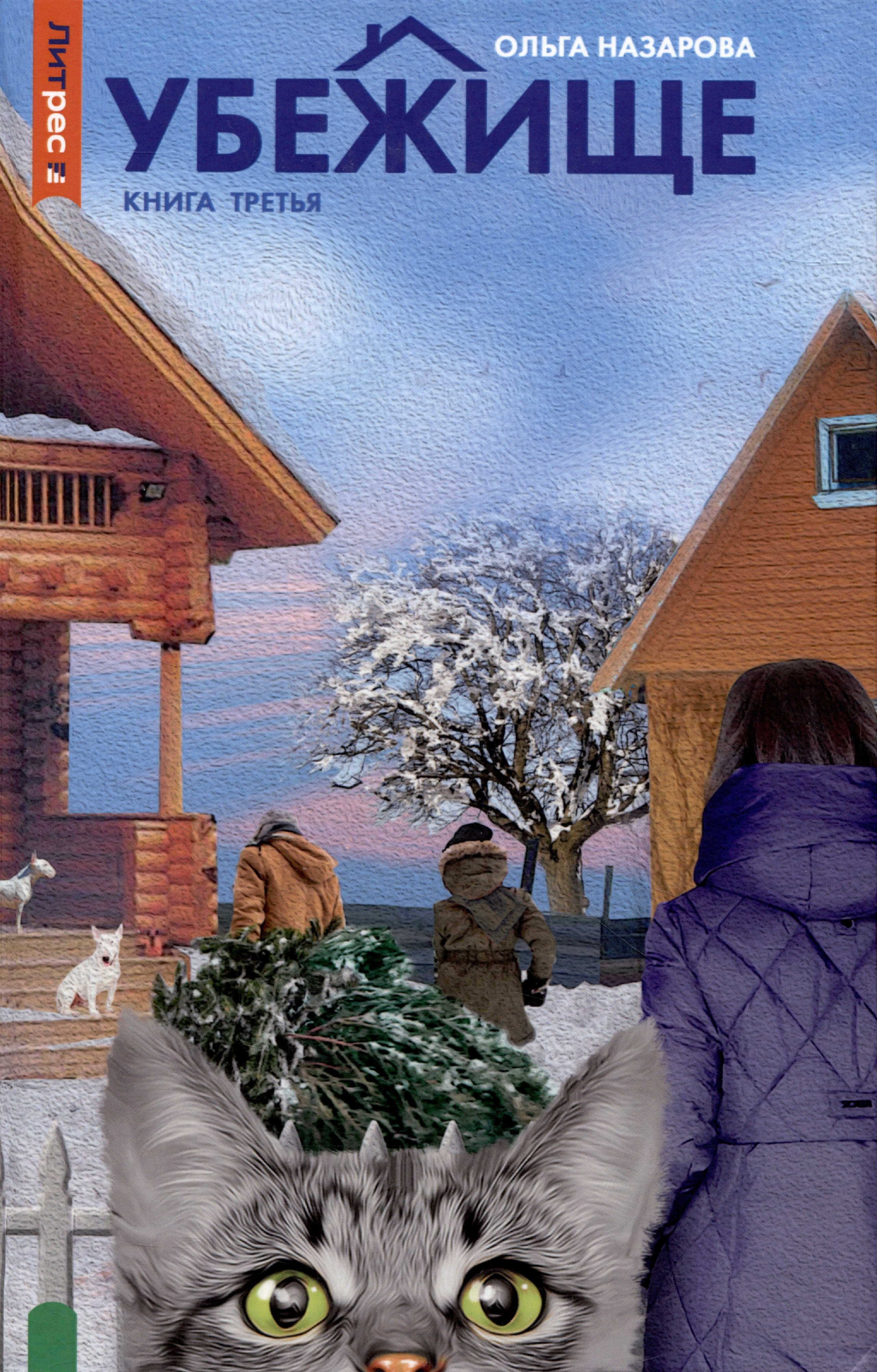 Назарова Ольга: Убежище. Книга 3