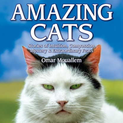 Mouellam Omar: Amazing Cats - Stories of Intuition, Compassion, Mystery & Extraordinary Feats (Unabridged)