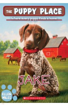 Miles Ellen: Jake