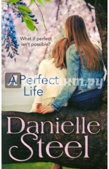 Steel Danielle: A Perfect Life