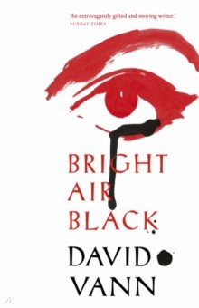 Vann David: Bright Air Black