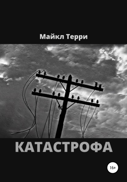 Терри Майкл: Катастрофа