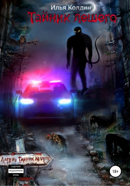 Вячеславович Илья Колдин: Тайник Лешего