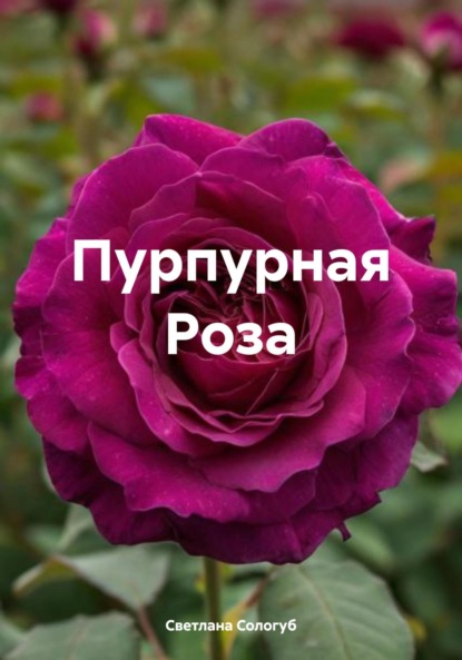 Сологуб Светлана: Пурпурная Роза