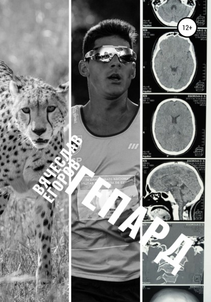 Анатольевич Вячеслав Егоров: Гепард