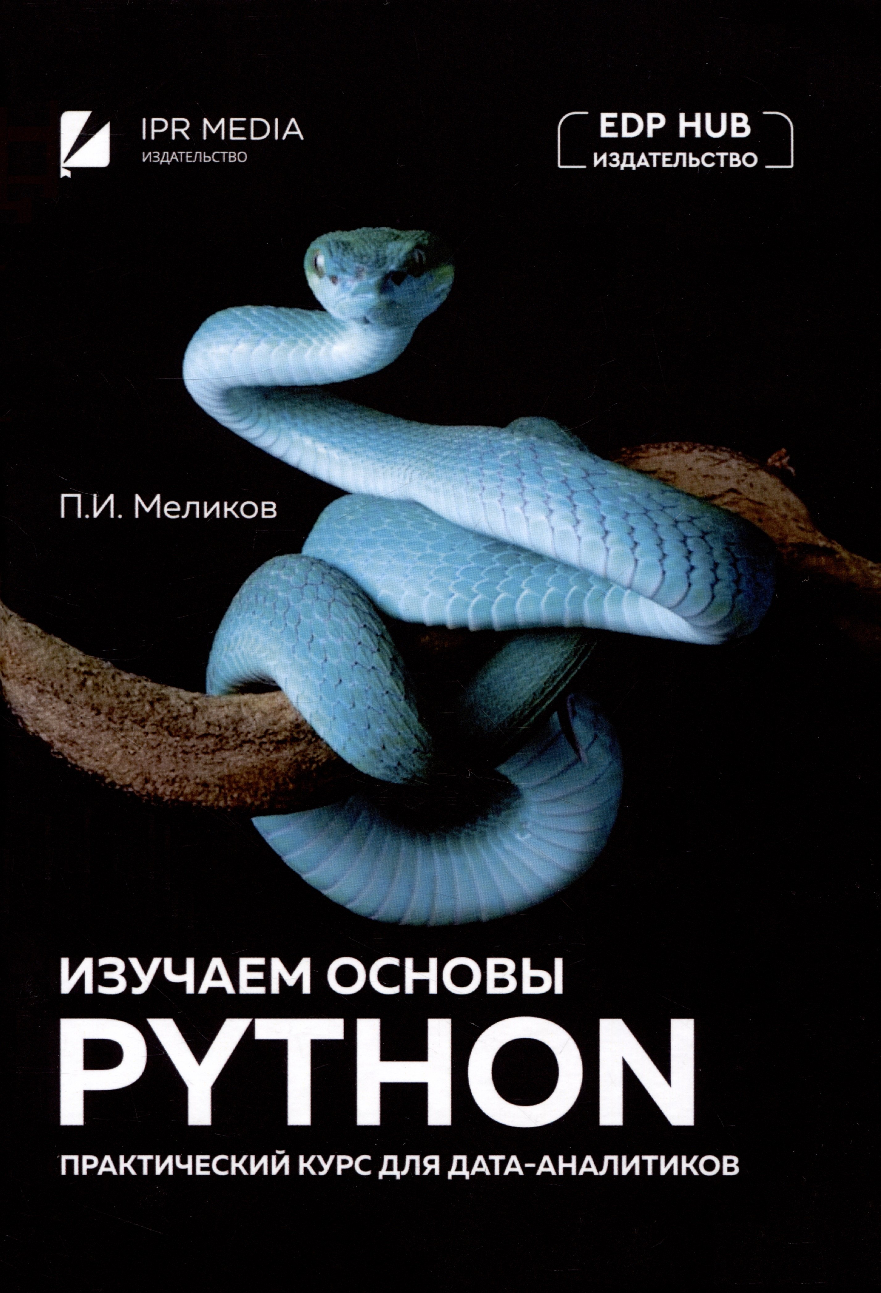 Меликов Павел Ильич: Изучаем основы Python. Практический курс для дата-аналитиков