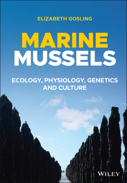 Gosling Elizabeth: Marine Mussels