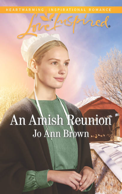 Brown Jo: An Amish Reunion
