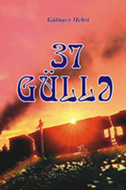 Mehri Gülnarə: 37 güllə
