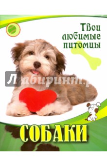 Ковылина Виталия: Собаки