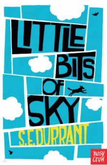Durrant S. E.: Little Bits of Sky