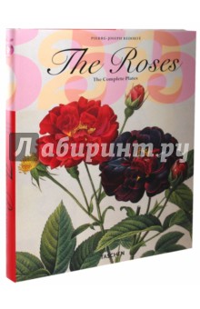 Hinz Petra-Andrea: The Roses. The Complete Plates