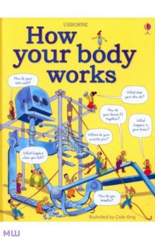 Hindley Judy: How Your Body Works