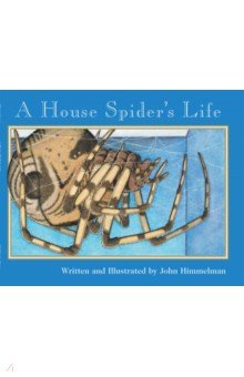 Himmelman John: A House Spider's Life