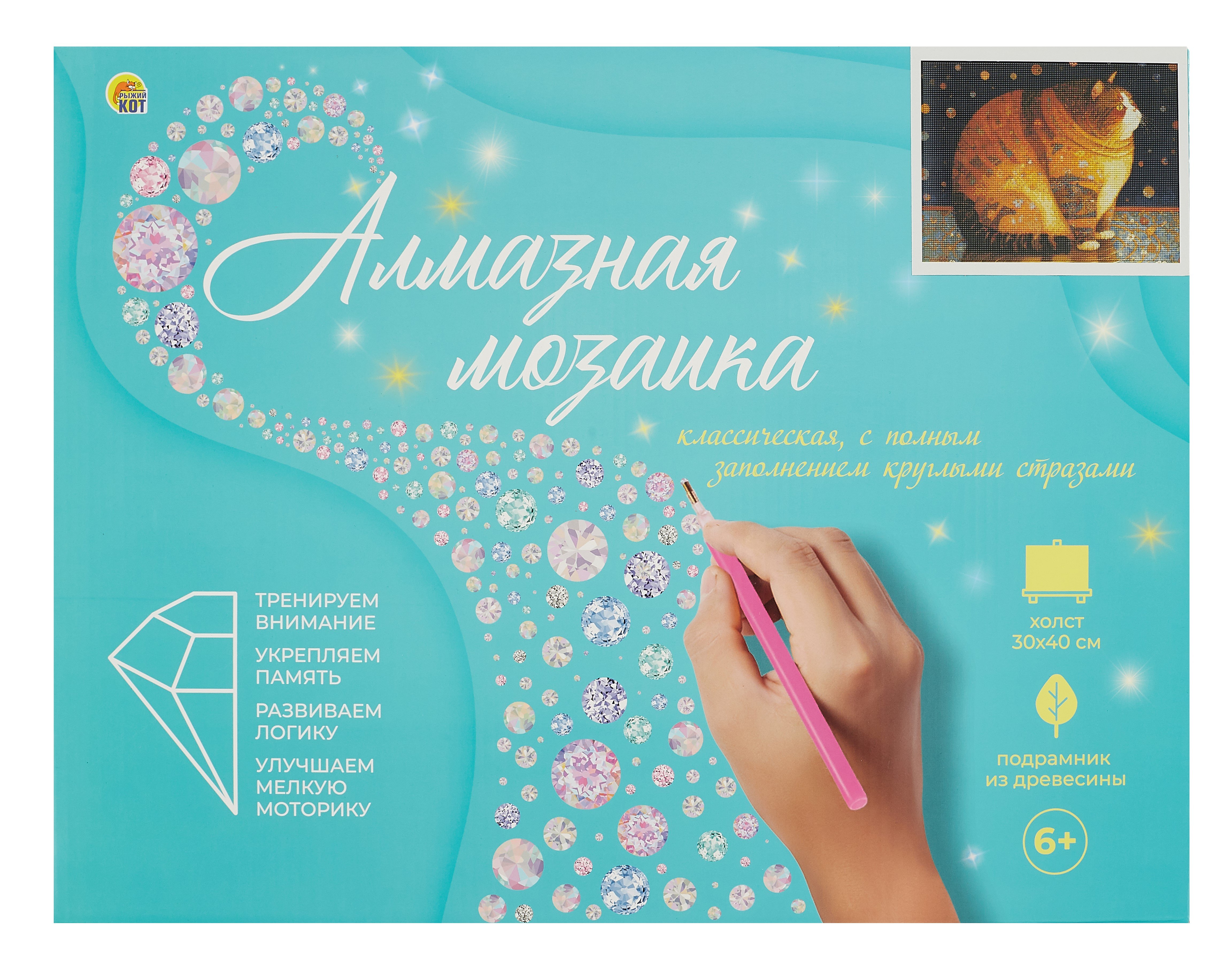 Алмазная мозаика (классическая) с подрамником, с полным заполнением &quot;Круглый котик&quot;, 30 х 40 см