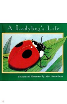 Himmelman John: A Ladybug's Life