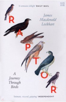 Lockhart James Macdonald: Raptor. A Journey Through Birds