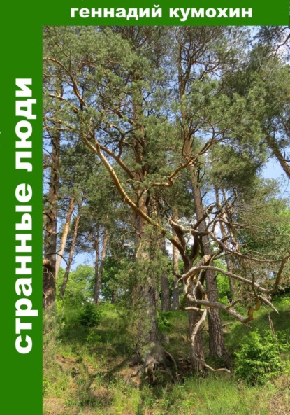 Вениаминович Геннадий Кумохин: Странные люди
