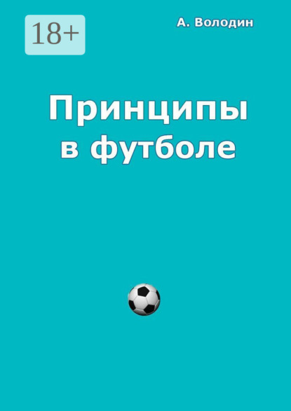 Володин Александр: Принципы в футболе