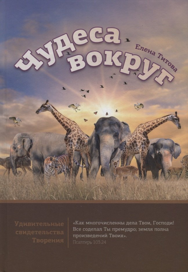 Тихоновна Титова Елена: Чудеса вокруг