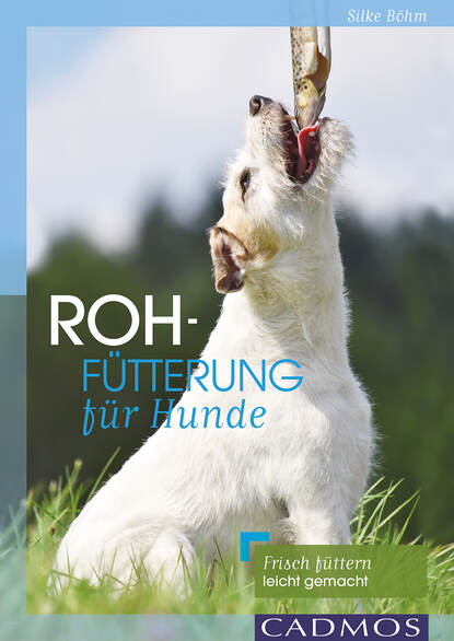 Rohfütterung für Hunde - Frisch füttern leicht gemacht!