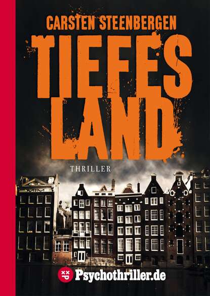 Tiefes Land - Amsterdam-Krimi
