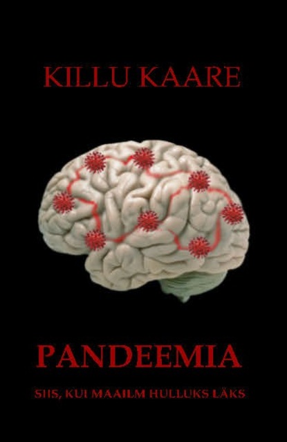 Pandeemia. Siis, kui maailma hulluks läks