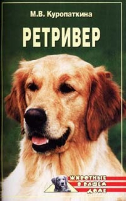 Куропаткина Марина: Ретриверы