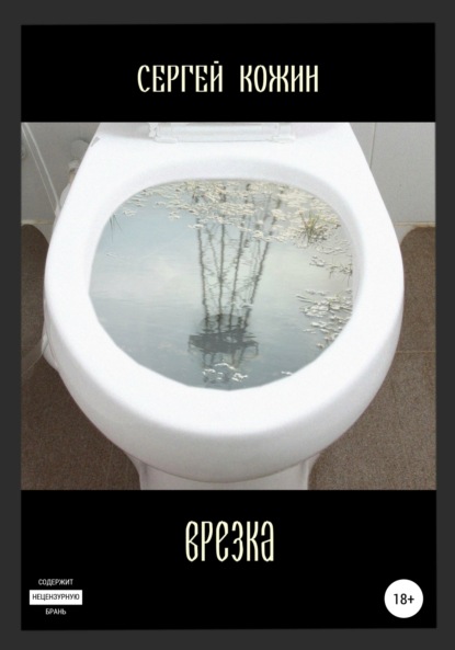 Васильевич Сергей Кожин: Врезка