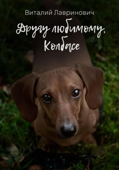 Лавринович Виталий: Другу любимому, Колбасе