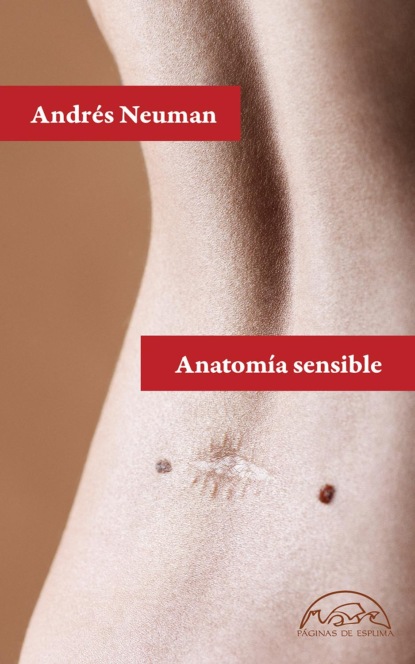 Neuman Andres: Anatomía sensible
