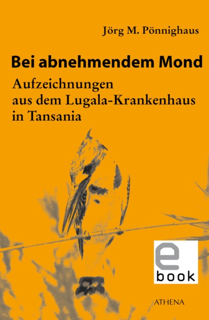 M. Jörg Pönnighaus: Bei abnehmendem Mond