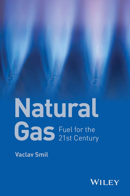 Smil Vaclav: Natural Gas. Fuel for the 21st Century