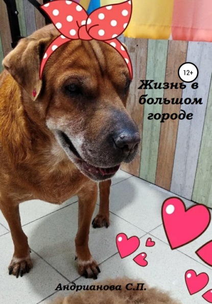 Андрианова Светлана: Жизнь в большом городе