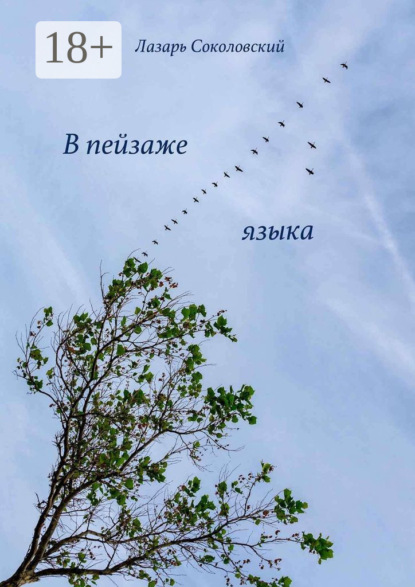 Соколовский Лазарь: В пейзаже языка