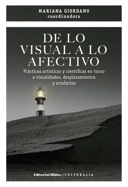 De lo visual a lo afectivo - Prácticas artísticas y científicas en torno a visualidades, desplazamientos y artefactos