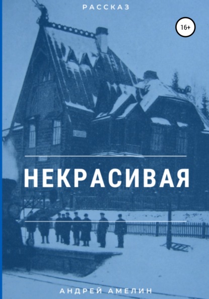 Амелин Андрей: Некрасивая