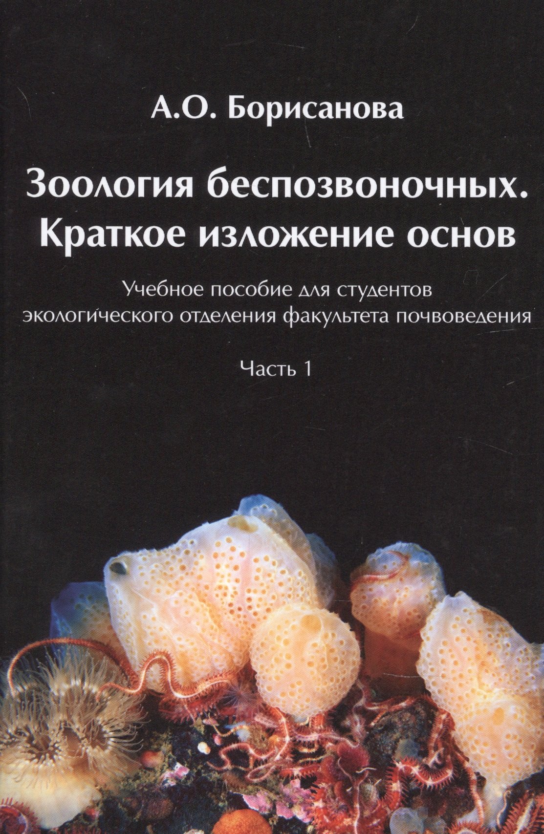 Борисанова А.О.: Зоология беспозвоночных. Краткое изложение основ.  Часть1
