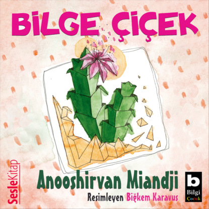 Miandji Anooshirvan: Bilge Ciçek