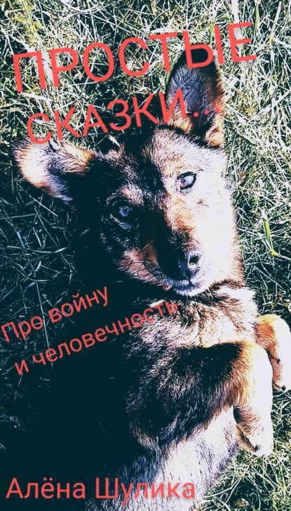 Владимировна Алена Шулика: Я русский, моя национальность – человек. (простые сказки)