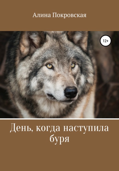 Покровская Алина: День, когда наступила буря