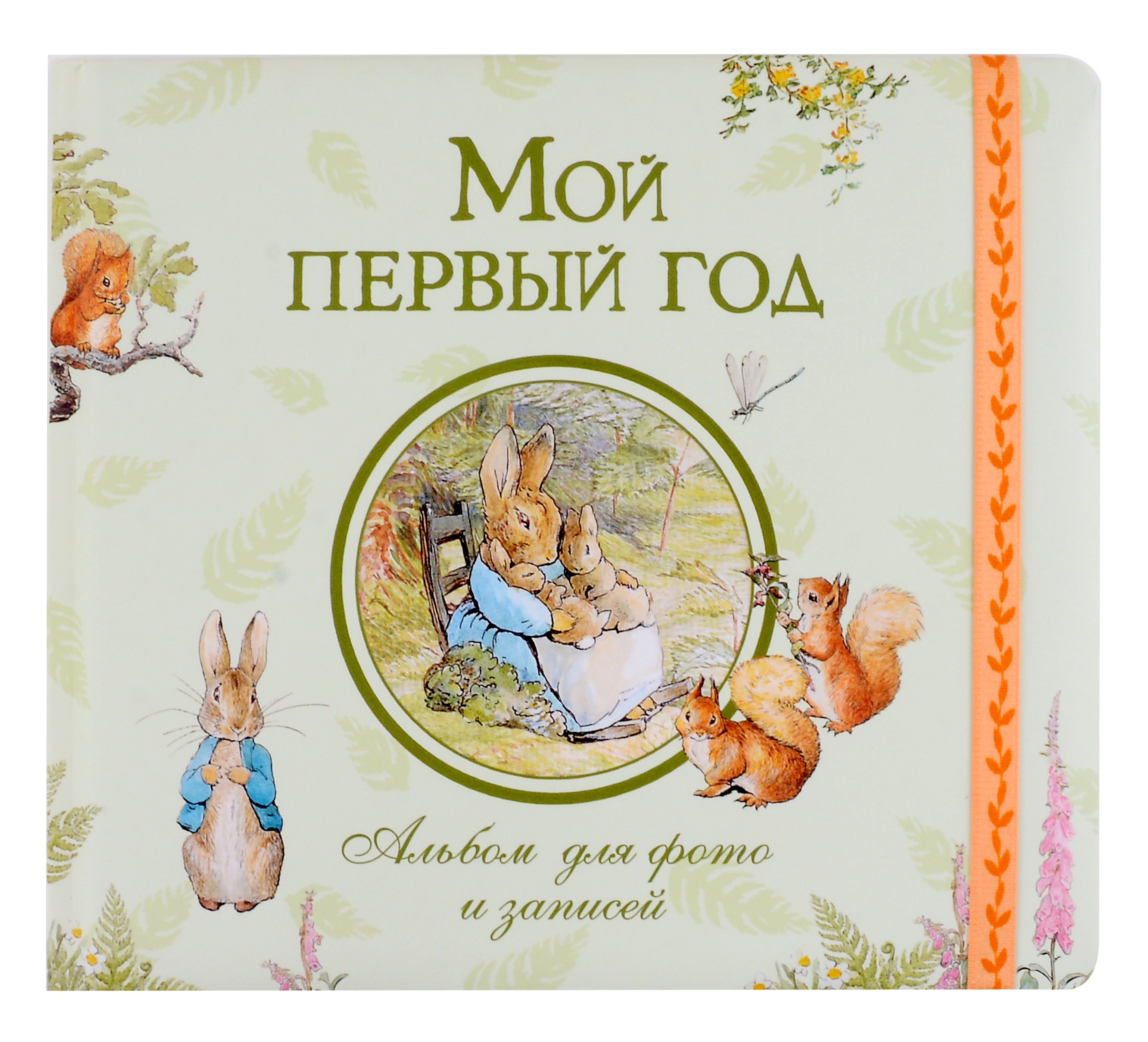 Соломкина А.К.: Мой первый год. Альбом для фото и записей