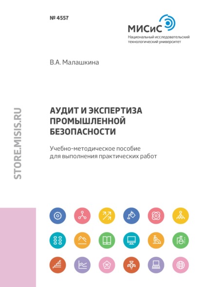 А. В. Малашкина: Аудит и экспертиза промышленной безопасности