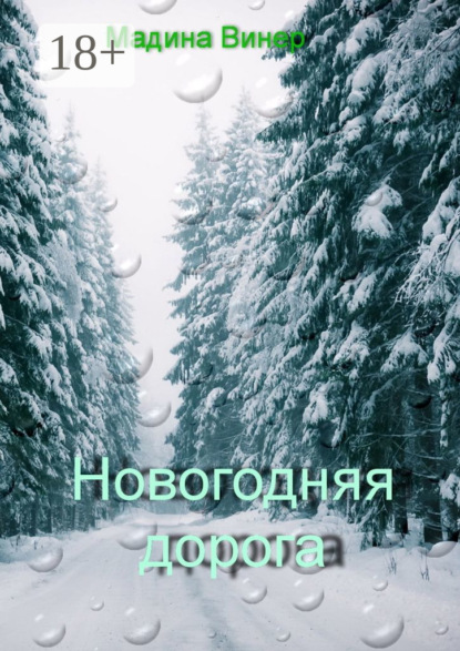 Винер Мадина: Новогодняя дорога