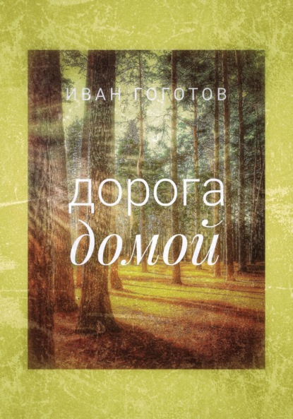 Гоготов Иван: Дорога домой