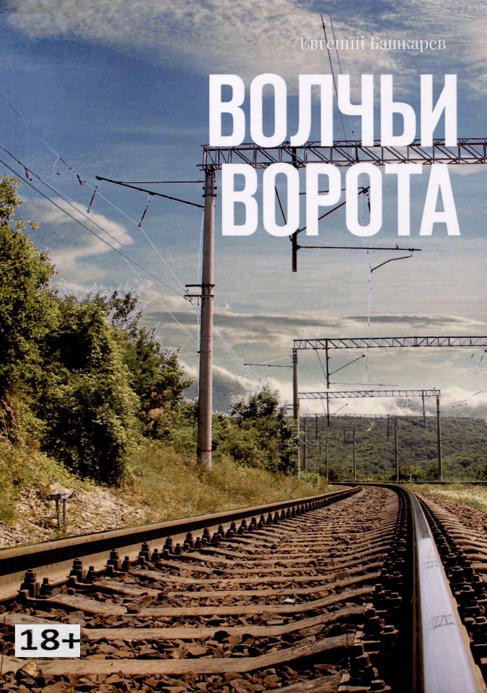 Башкарев Евгений: Волчьи ворота