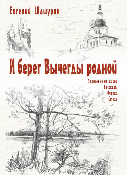 Шашурин Евгений Иванович: И берег Вычегды родной (сборник)